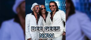 Bee Gees Tribute